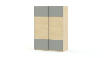 Шкаф-купе D01 225 BMS