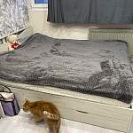 Кровать Эко BMS - Фото от клиента