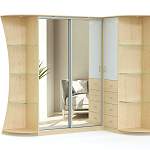 Шкаф-купе Витязь BMS - Фото 5