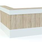 Ресепшен Рейна №14 BMS - Фото 6