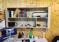 Полка Пион 3 BMS